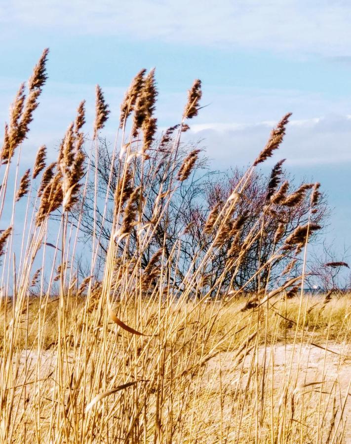 Baltic Park Sea View *